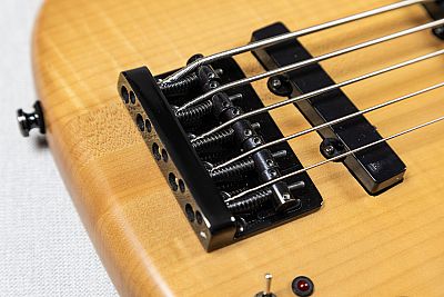 Hohner B Bass V