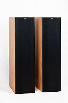 Bowers & Wilkins DM 603 S2