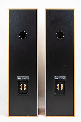 Bowers & Wilkins DM 603 S2