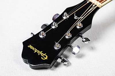 Epiphone Dr 100