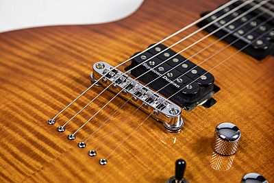 Chapman ML2
